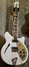 Rickenbacker 360/6 SPC, Snowglo: Full Instrument - Front