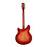 Rickenbacker 366/12 , Fireglo: Full Instrument - Rear