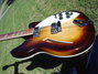 Rickenbacker 360/12 VP, MonteBrown: Free image2