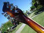 Rickenbacker 360/12 VP, MonteBrown: Headstock - Rear