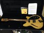Rickenbacker 360/12 BH BT, Mapleglo: Full Instrument - Front