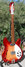 Rickenbacker 1997/6 , Fireglo: Free image