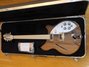 Rickenbacker 360/12 Mod, Walnut: Full Instrument - Front