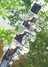 Rickenbacker 330/12 , Jetglo: Headstock - Rear