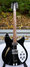 Rickenbacker 330/12 , Jetglo: Full Instrument - Front