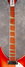 Rickenbacker 360/6 V64, Fireglo: Neck - Front