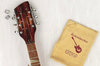 Rickenbacker 360/12 V64, Fireglo: Headstock