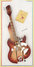 Rickenbacker 360/12 V64, Fireglo: Full Instrument - Front
