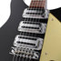 Rickenbacker 325/6 C58, Jetglo: Close up - Free2