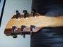 Rickenbacker 650/6 Dakota, Two-Tone: Headstock - Rear