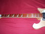Rickenbacker 620/12 , Mapleglo: Neck - Front