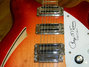Rickenbacker 370/12 RM, Fireglo: Close up - Free2