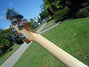 Rickenbacker 4003/4 , Walnut: Neck - Rear