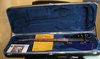 Rickenbacker 620/12 , Midnightblue: Free image