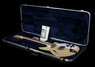 Rickenbacker 360/12 , Mapleglo: Free image