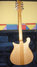 Rickenbacker 620/6 , Mapleglo: Full Instrument - Rear