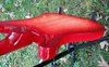 Rickenbacker 4003/4 S, Fireglo: Free image2