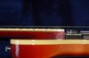 Rickenbacker 620/6 , Fireglo: Neck - Rear
