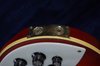 Rickenbacker 620/6 , Fireglo: Close up - Free