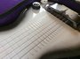Rickenbacker 59/6 LapSteel, Gray: Free image2