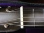 Rickenbacker 59/6 LapSteel, Gray: Close up - Free2