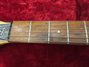 Rickenbacker 450/6 Combo, Black: Neck - Front