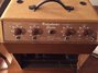 Rickenbacker M-12/amp , Brown: Body - Front