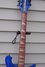 Rickenbacker 620/12 BH BT, Midnightblue: Neck - Front