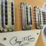 Rickenbacker 370/12 RM, Mapleglo: Close up - Free