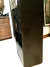 Rickenbacker Transonic 100/amp , Black: Close up - Free