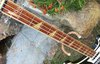 Rickenbacker 4001/4 , Jetglo: Neck - Front