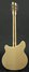 Rickenbacker 360/12 , Mapleglo: Full Instrument - Rear