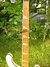 Rickenbacker 4001/4 , White: Neck - Front