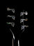 Rickenbacker 360/6 , Jetglo: Headstock - Rear