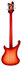 Rickenbacker 4003/4 , Fireglo: Full Instrument - Rear