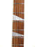 Rickenbacker 360/6 , Jetglo: Neck - Front