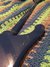 Rickenbacker 4001/4 , Azureglo: Neck - Rear