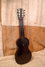 Rickenbacker BD/6 Bronson, Brown: Full Instrument - Rear