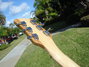 Rickenbacker 660/6 , Mapleglo: Headstock - Rear