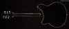 Rickenbacker 360/6 , Jetglo: Full Instrument - Rear