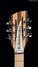Rickenbacker 330/12 , Natural Walnut: Headstock