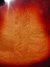 Rickenbacker 660/12 TP, Fireglo: Full Instrument - Rear
