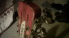 Rickenbacker 330/12 , Fireglo: Free image