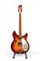 Rickenbacker 330/6 , Fireglo: Full Instrument - Front