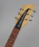 Rickenbacker 430/6 BT, Brown: Headstock