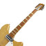Rickenbacker 360/12 , Natural: Neck - Front
