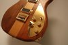 Rickenbacker 650/6 Sierra, Natural Walnut: Free image