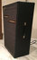 Rickenbacker Transonic 100/amp Mod, Black: Full Instrument - Front