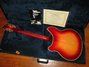 Rickenbacker 370/12 RM, Fireglo: Full Instrument - Rear