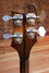Rickenbacker 4001/4 BT, Walnut: Headstock - Rear